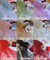Pearl Tulle Fabric by the Yard, 60" Wide Soft Pearl Scattered Mesh